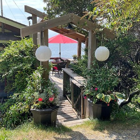 Blitz Beach House Oceanside Suite 鲍威尔河 外观 照片
