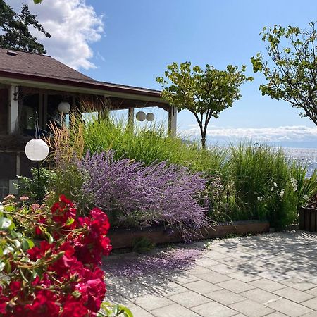 Blitz Beach House Oceanside Suite 鲍威尔河 外观 照片