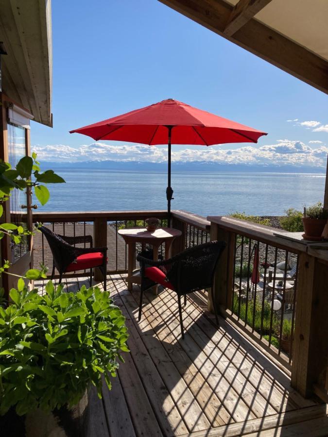 Blitz Beach House Oceanside Suite 鲍威尔河 外观 照片
