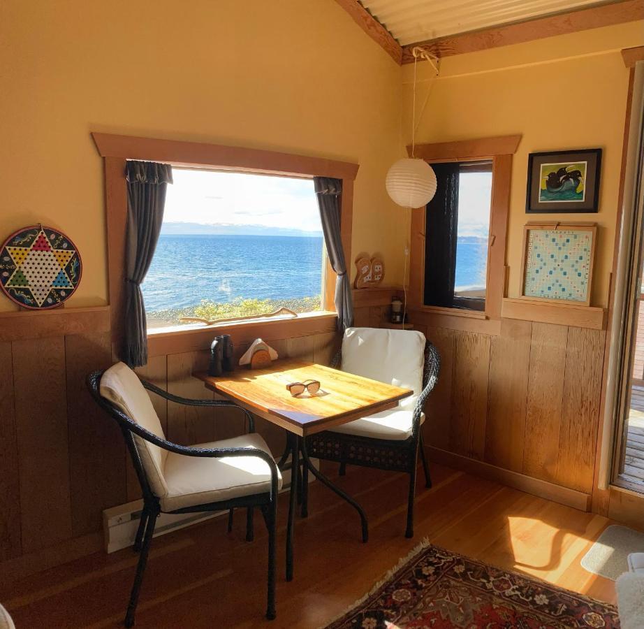 Blitz Beach House Oceanside Suite 鲍威尔河 外观 照片