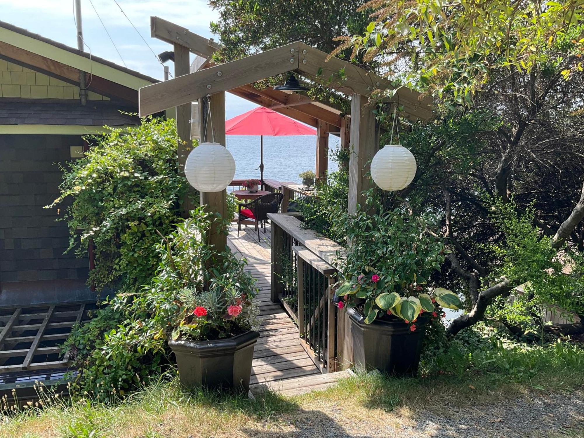 Blitz Beach House Oceanside Suite 鲍威尔河 外观 照片